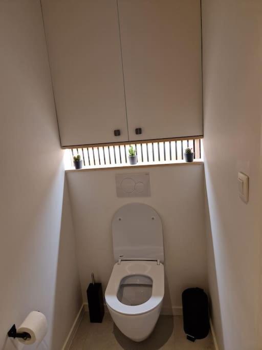 Phoenix Gent Kültér fotó